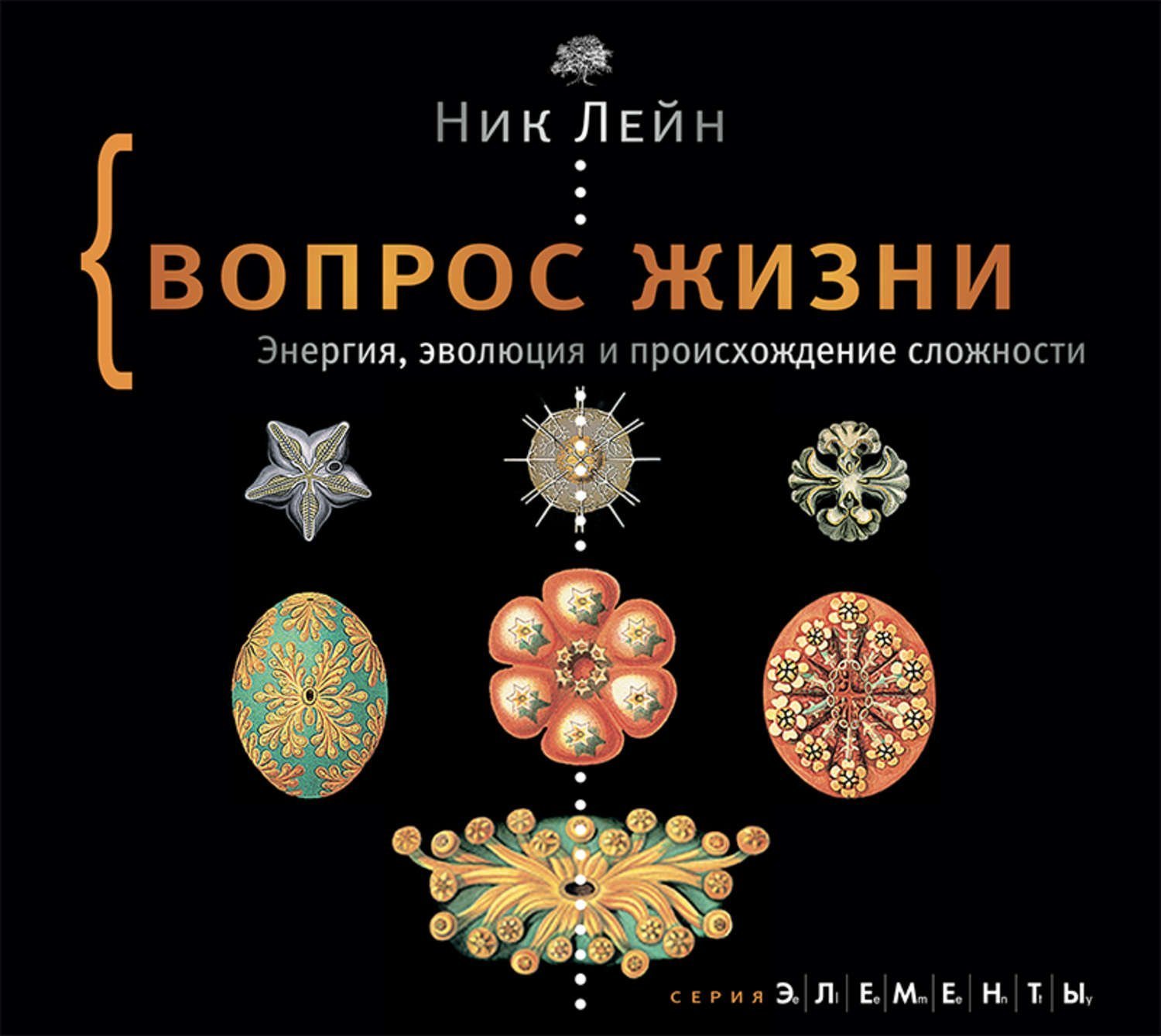 обложка Вопрос жизни. Энергия, эволюция и происхождение сложности