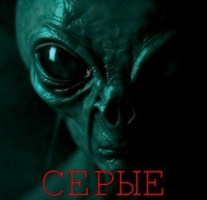 обложка Серые