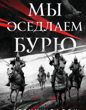 обложка Мы оседлаем бурю - Девин Мэдсон