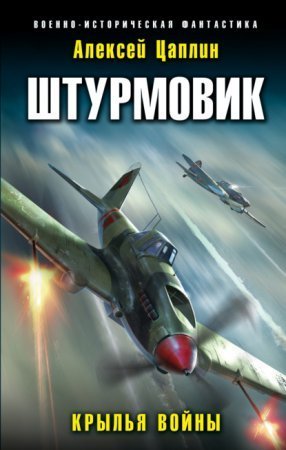 обложка Штурмовик 1. Крылья войны