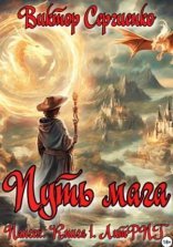 обложка Путь мага
