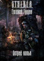 обложка S.T.A.L.K.E.R. Острие копья