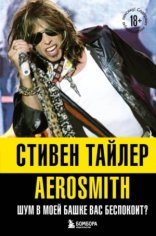 обложка Аэросмит. Шум в моей башке вас беспокоит?