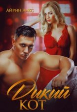 обложка Дикий кот