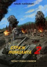 обложка S.T.A.L.K.E.R. Страж Монолита 2