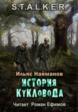 обложка S.T.A.L.K.E.R. История Кукловода