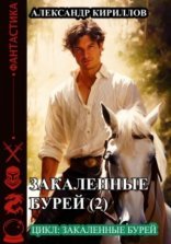 обложка Закаленные бурей 2