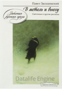 обложка В метель и вьюгу - Павел Засодимский